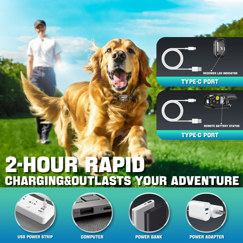 Pedono adjustable neck fit suitable for dogs from 20 to 120 pounds.