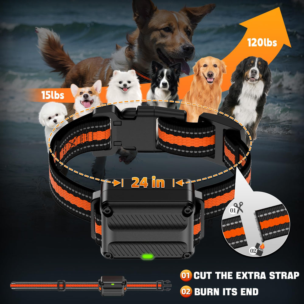 Pedono adjustable dog collar fit ensuring comfortable wear across breeds