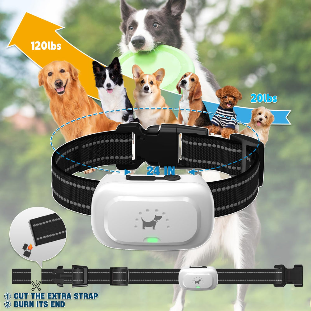 Pedono dog collar adjustable neck strap fitting small to large dogs.