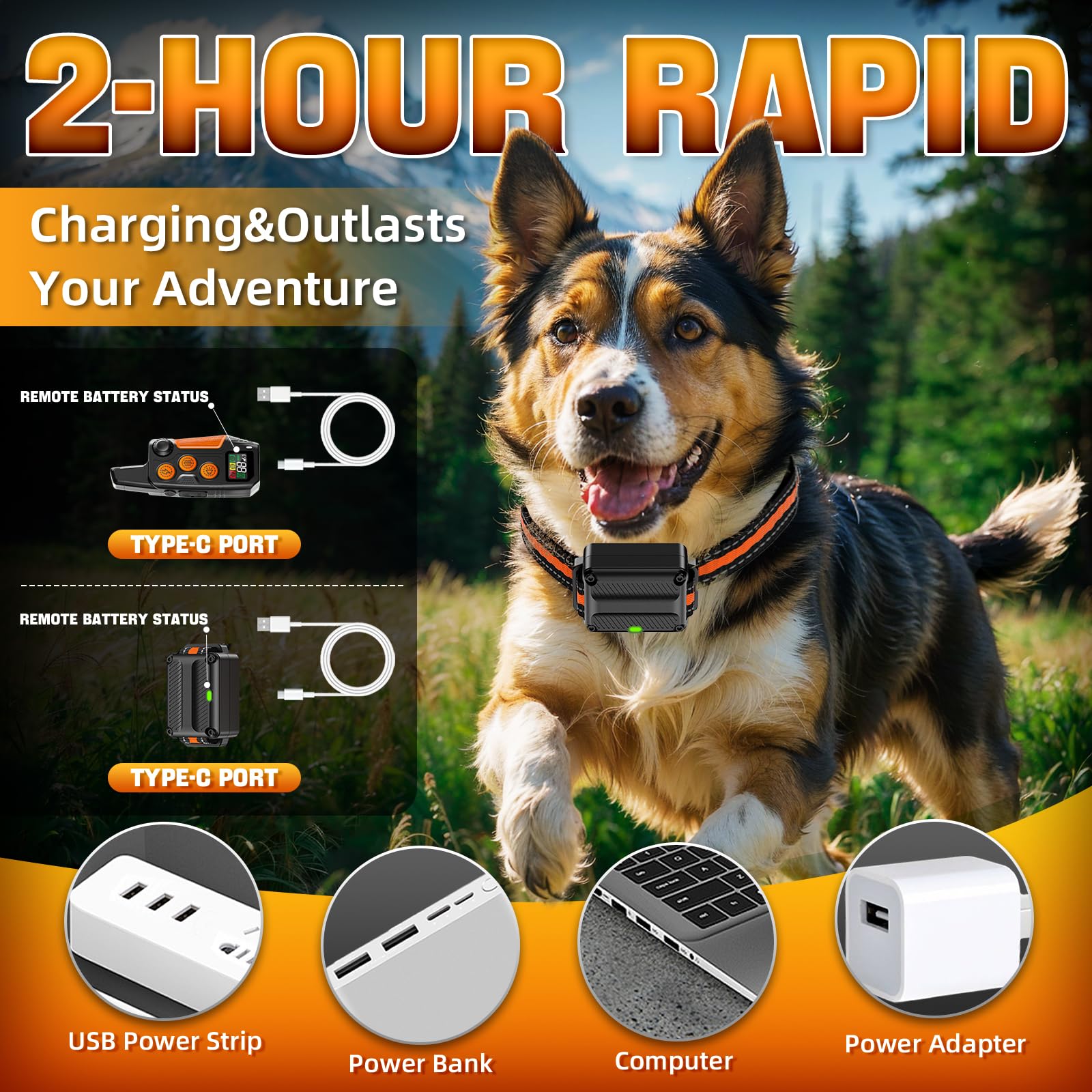 Pedono rechargeable dog collar charging dock for convenient power