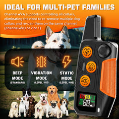 Pedono training collar remote closeup showing intuitive handheld control