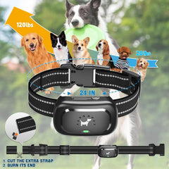 Pedono waterproof collar ready for rain and water play.