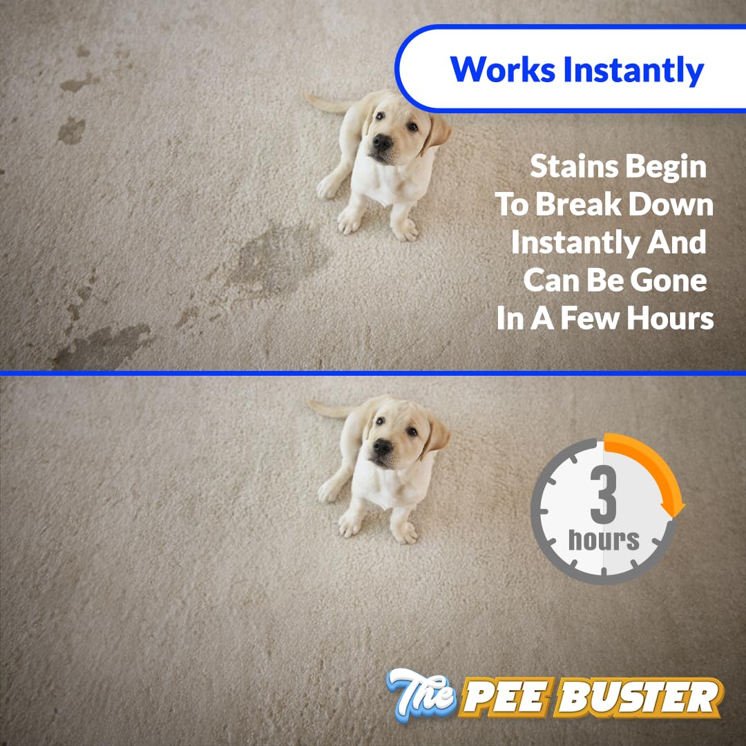 Pee Buster tile and hardwood cleaning in action across surfaces.