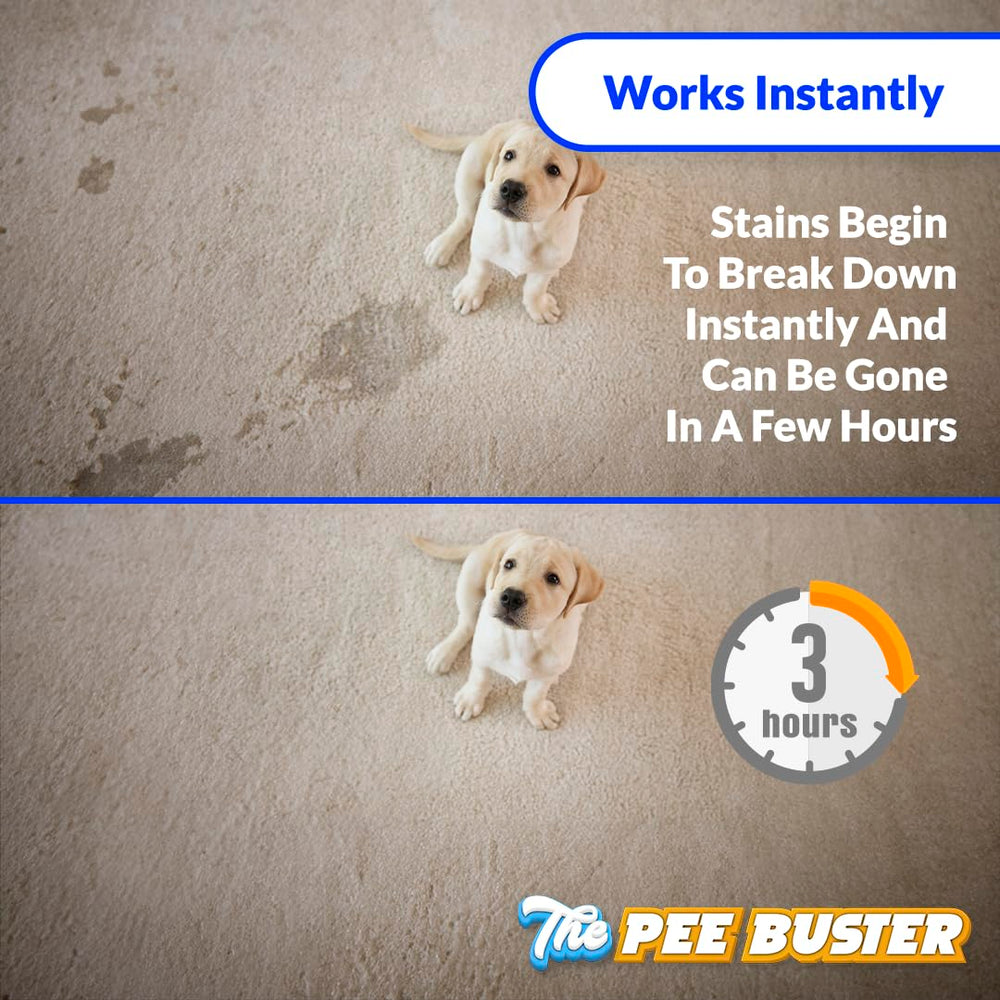 Pee Buster tile and hardwood cleaning in action across surfaces.