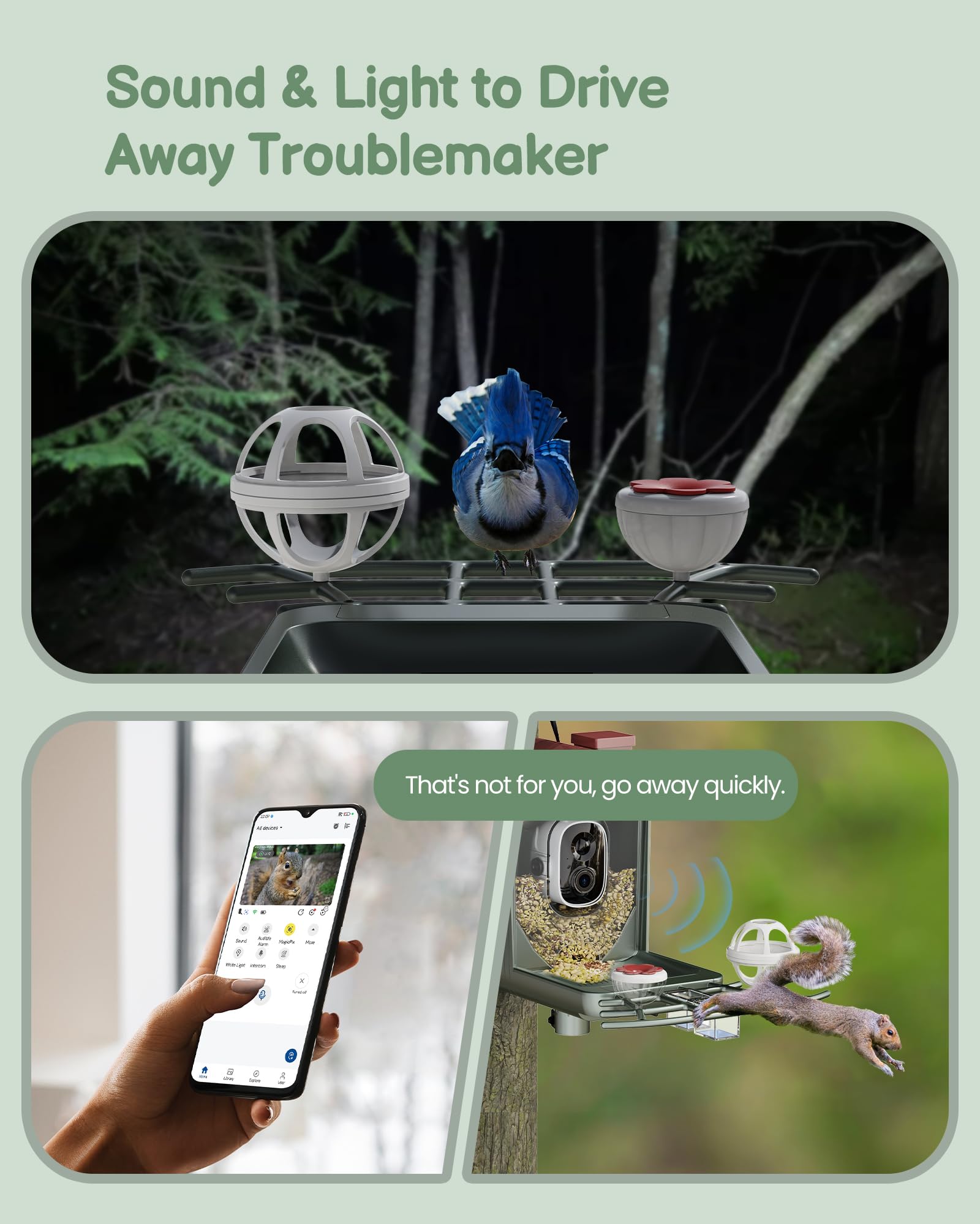 PEEIPM Live-stream sharing lets friends join your bird watching from afar.