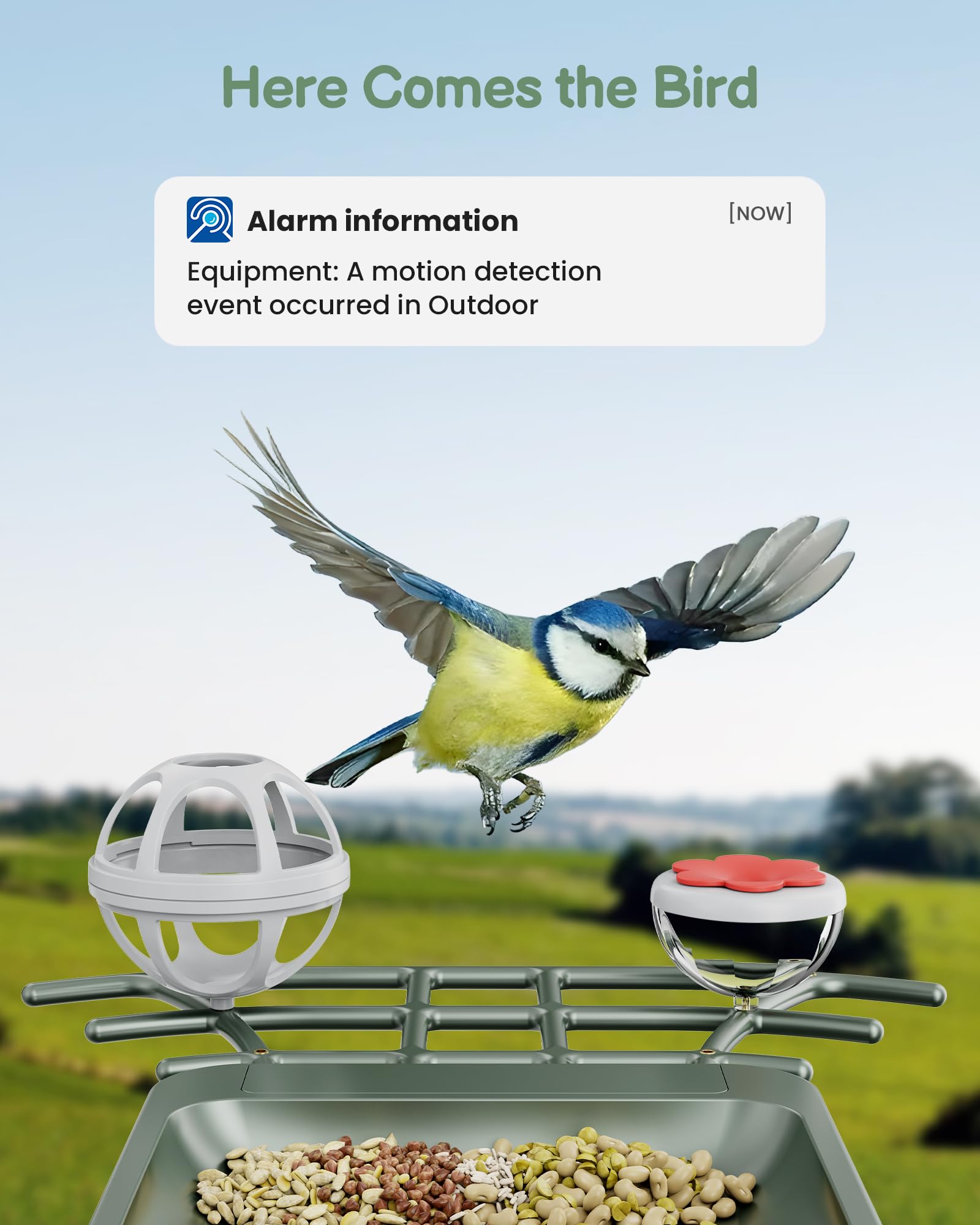 PEEIPM Solar-powered bird feeder view captures sun-powered operation and bird activity.