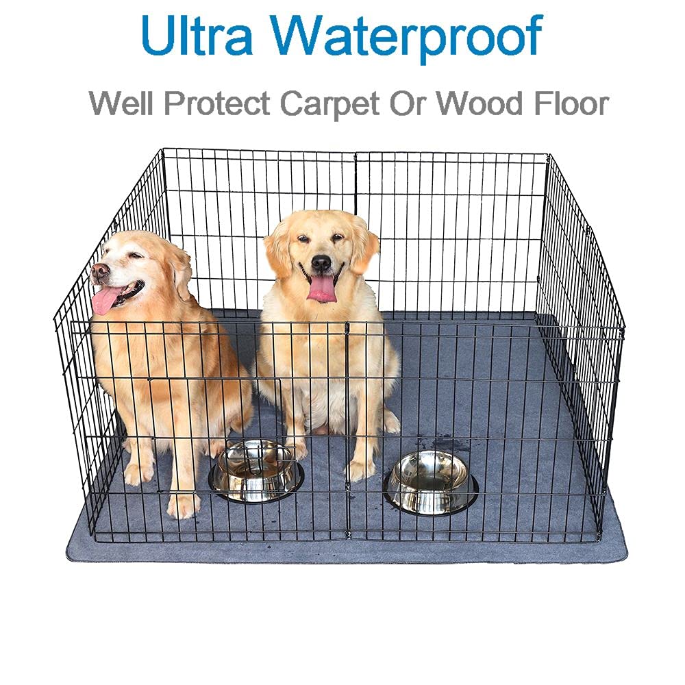 Peepeego pad in use near whelping box for training and containment