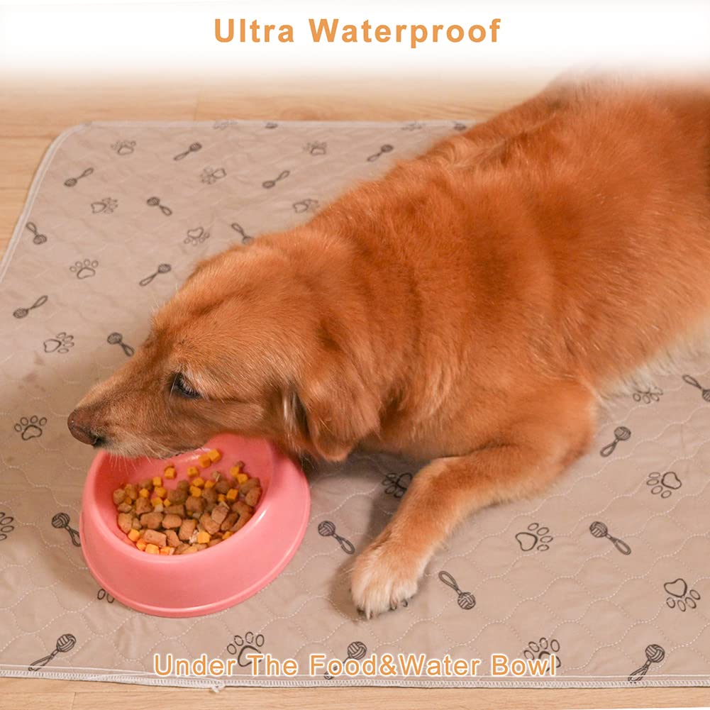 peepeego free dog comb included with pads for grooming routines