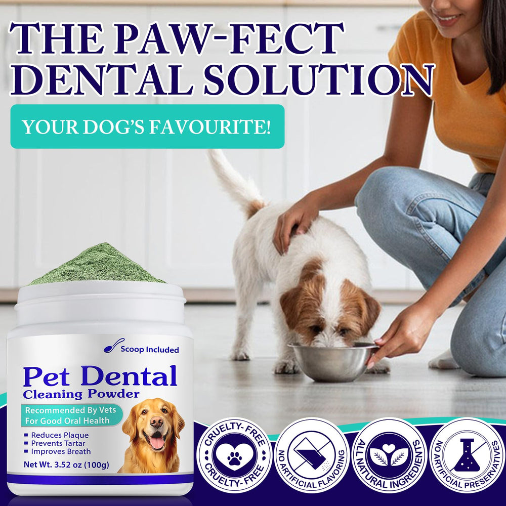 Peesnb dog dental powder shown beside a toothbrush-ready setup for easier cleaning.