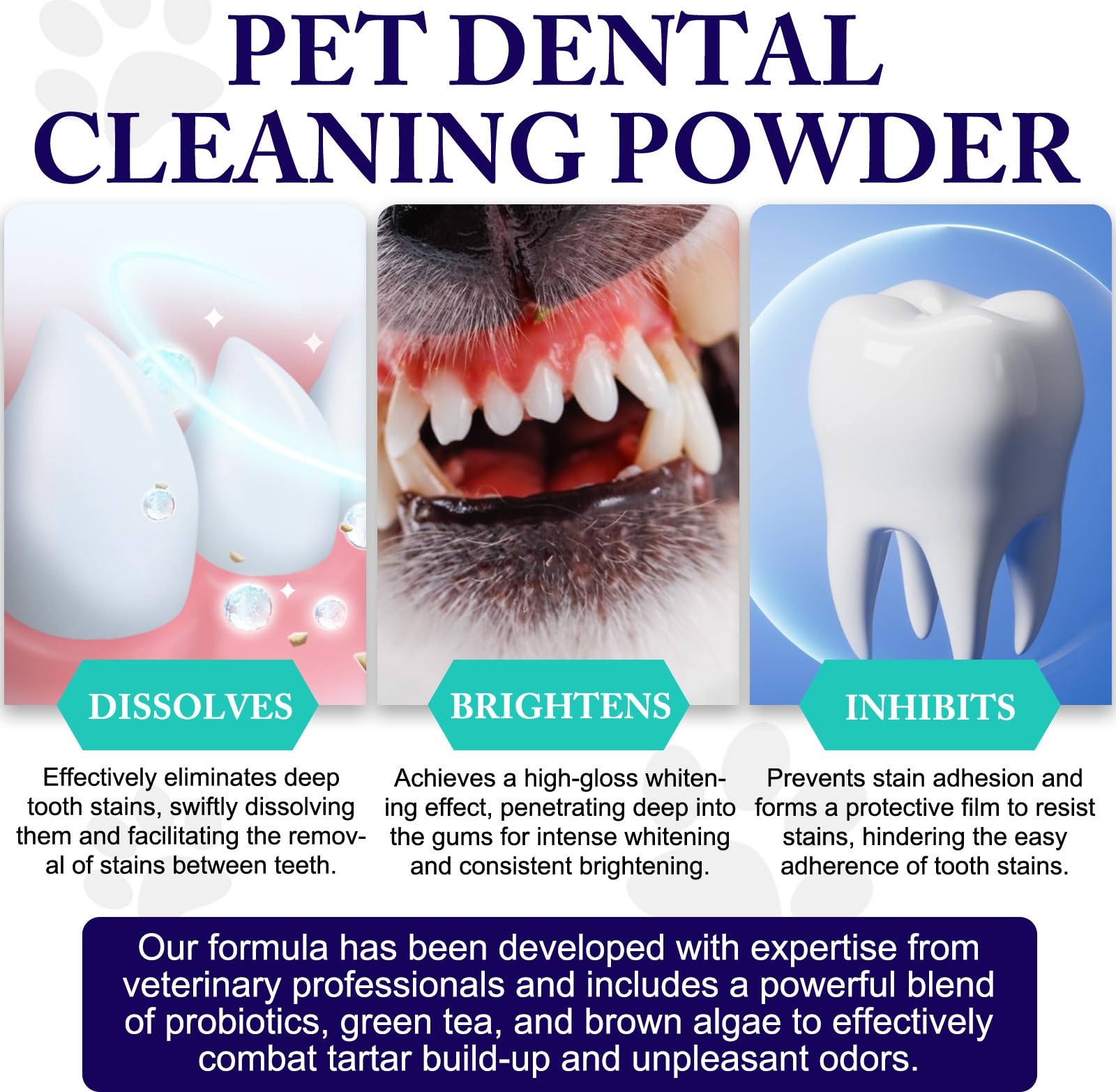 Peesnb labeled bottle on countertop suggests convenient pet oral care routine.