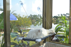 PEFUNY cat window hammock shows 360° sunbath with sturdy frame
