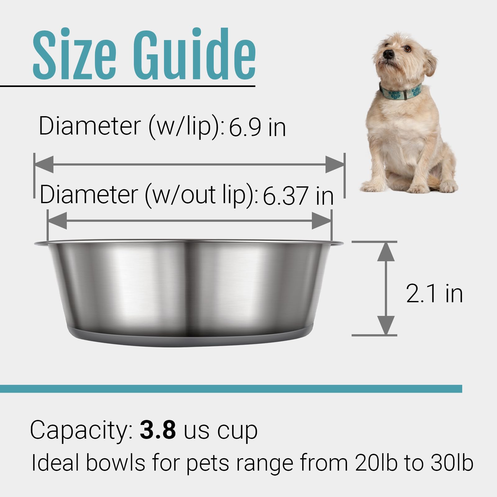 Peggy11 BPA-free materials for pet-safe dining