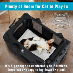 Pegic extra-large cat carrier top ventilation demonstrates breathable design for pet comfort.