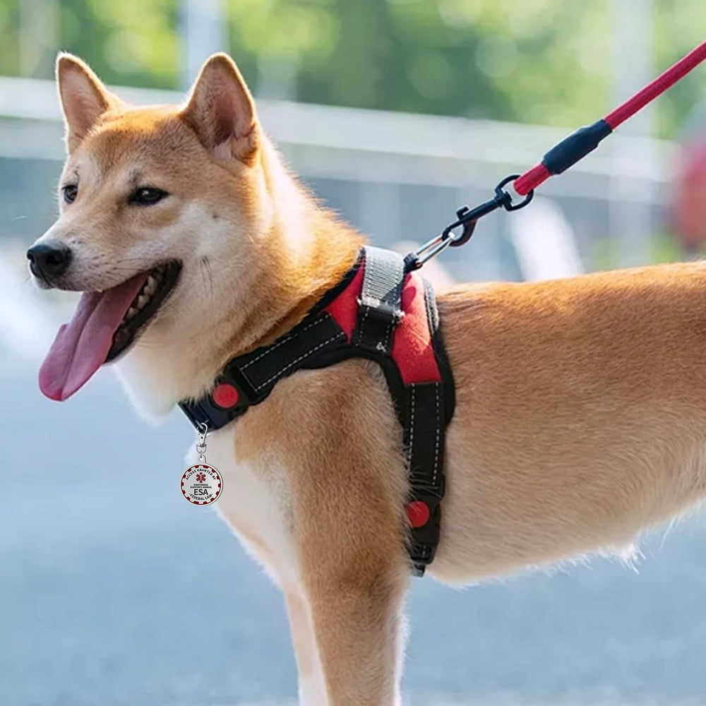 PEHADU tag helps owners switch between collars and vests with minimal fuss