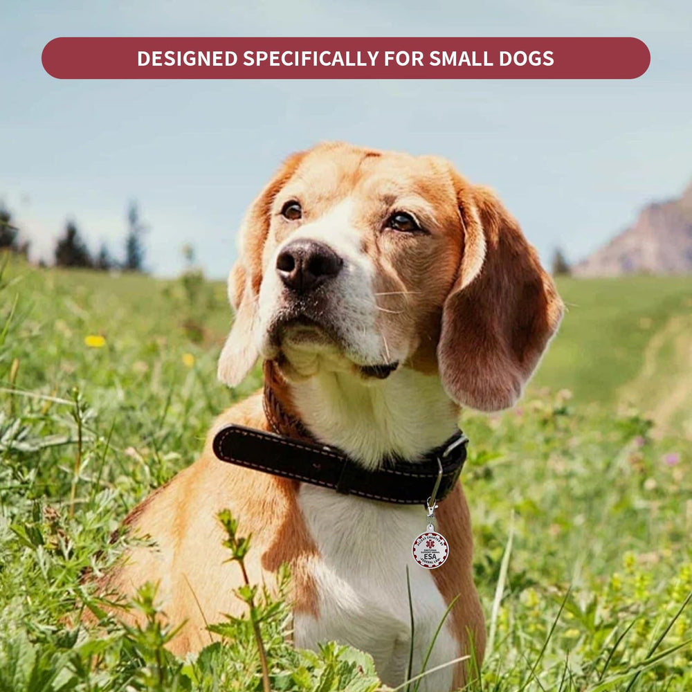 PEHADU lobster-claw clip provides secure, durable attachment on collars or vests