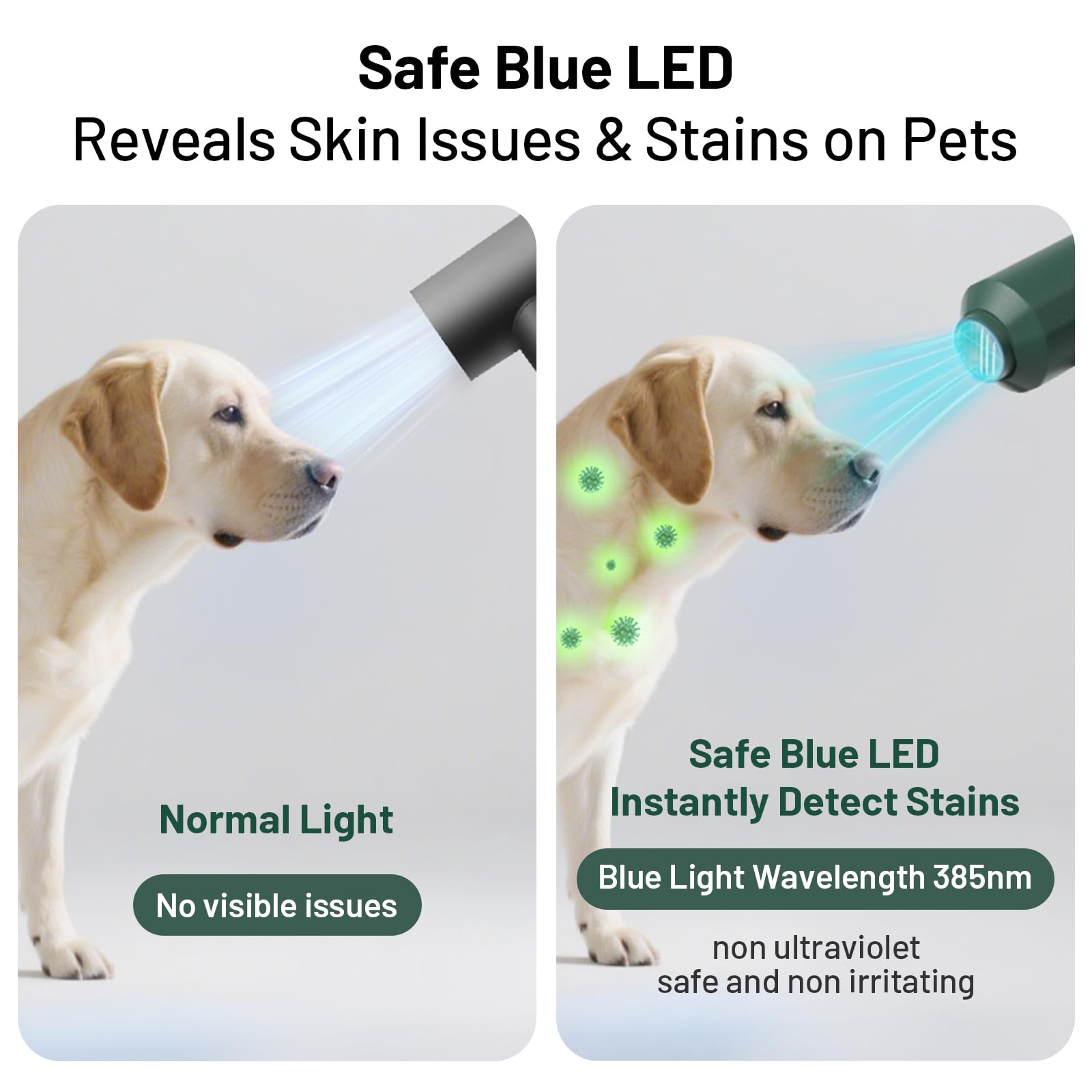 Pehum dog-cat hair dryer 2-in-1 comb attachment in action