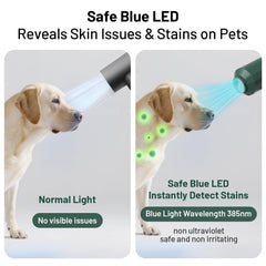 Pehum dog-cat hair dryer 2-in-1 comb attachment in action