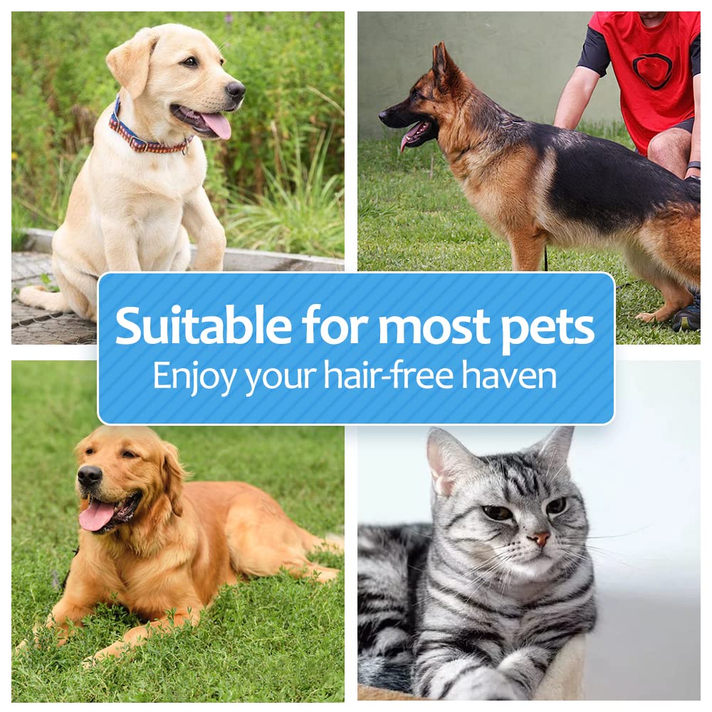 PEITA PET easy-clean teeth highlighting quick maintenance and hygiene.