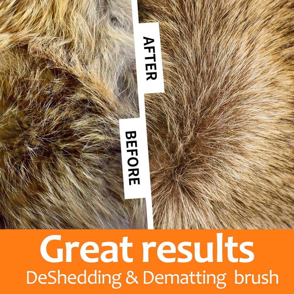 PEITA PET undercoat rake deshedding side lifts loose hair for a cleaner coat.