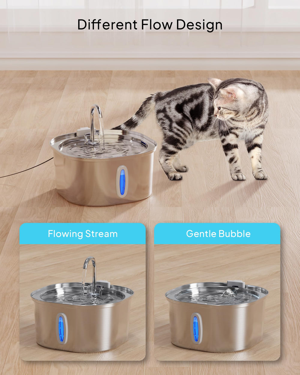 PEKTACO dishwasher-safe design scene shows easy cleaning and sanitation.