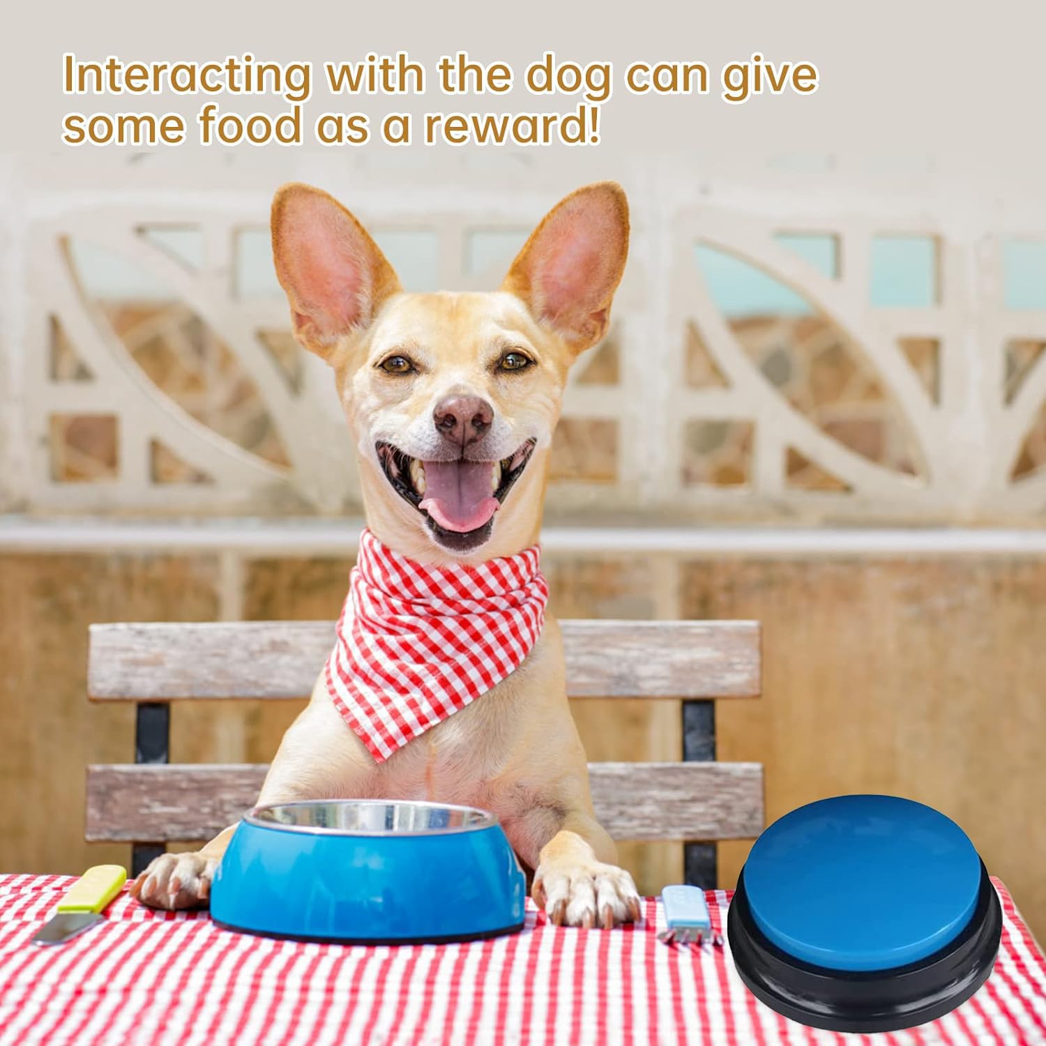 PELTEFLU voice recording button in-use with a dog enabling training prompts