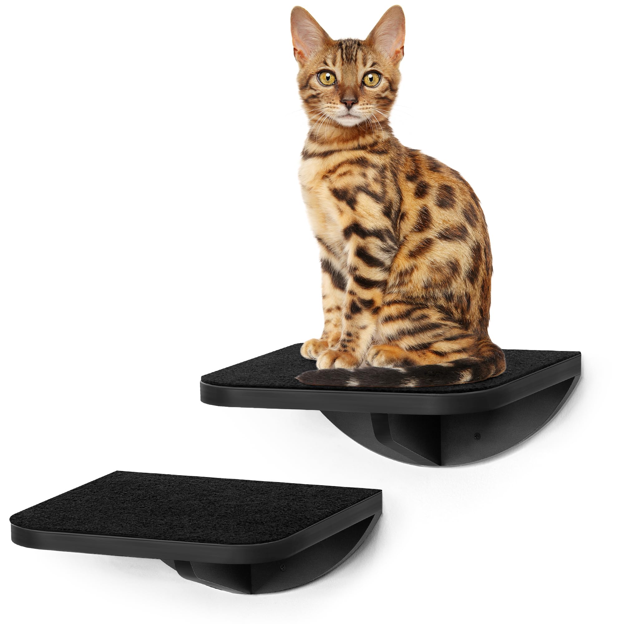 PELUOMOZ 2-Piece Cat Wall Steps assembly shows sturdy pine construction for secure climbing.