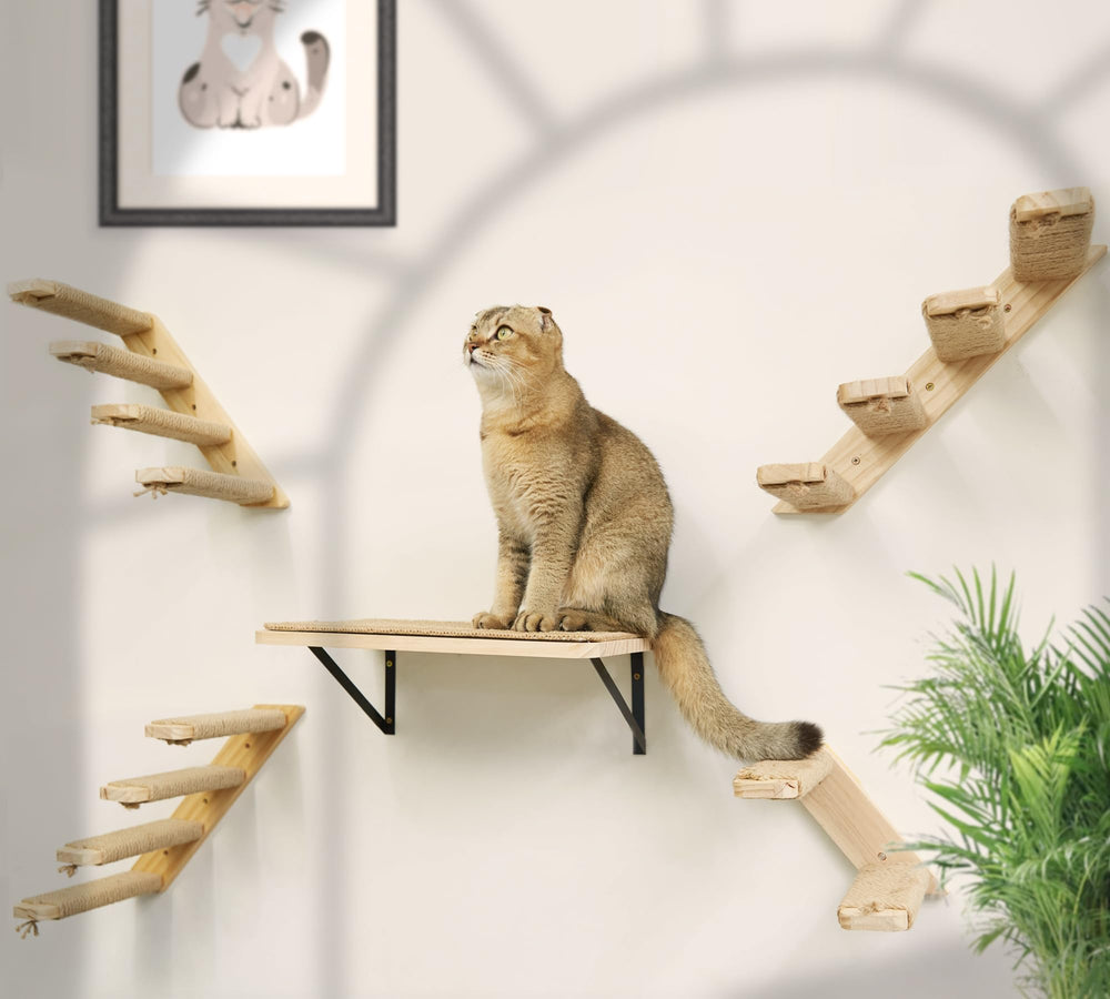 PEL UOMOZ packaged two-shelf set presented as a gift for cat lovers