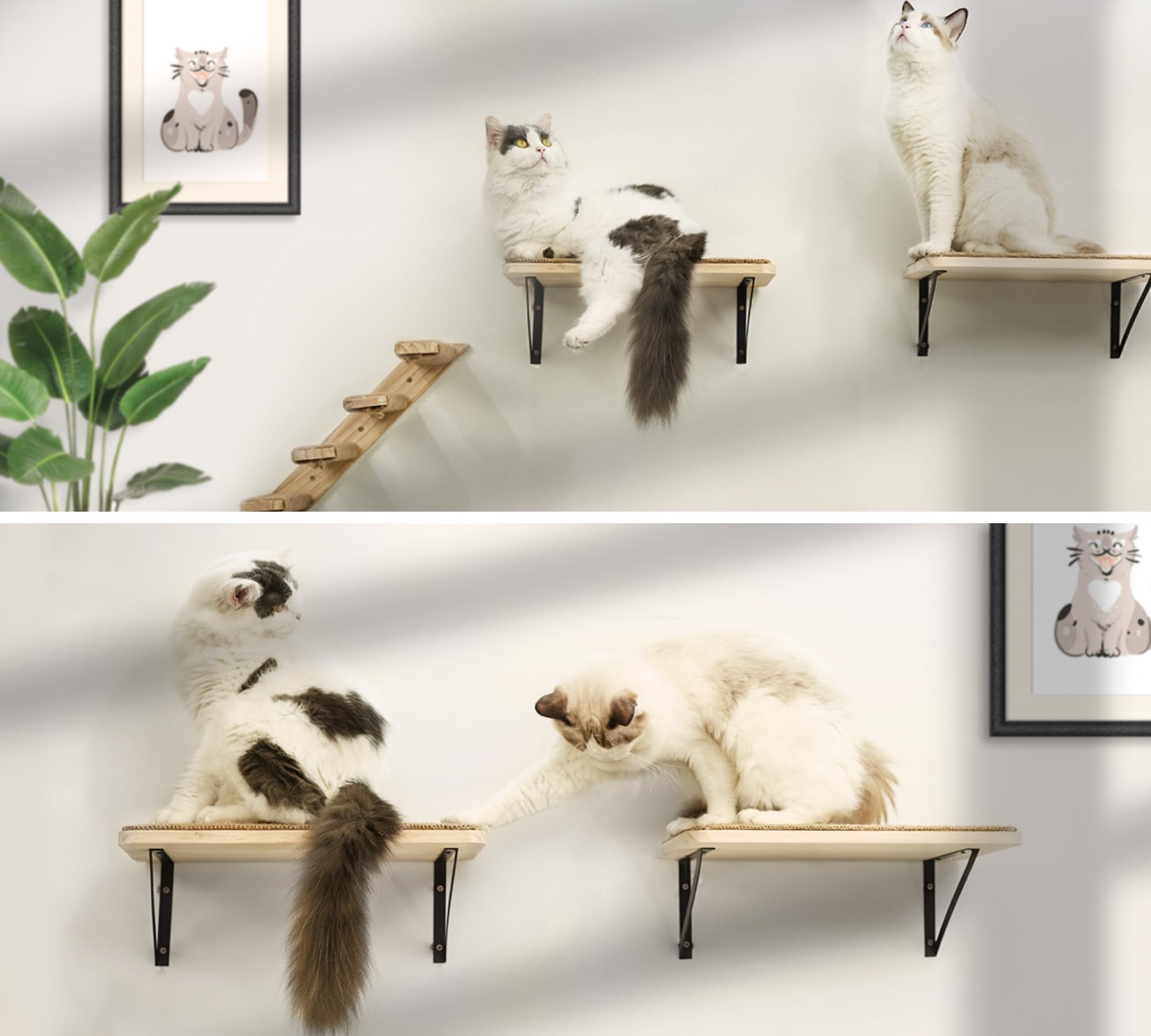 PEL UOMOZ space-saving wall shelves keeping floors clear