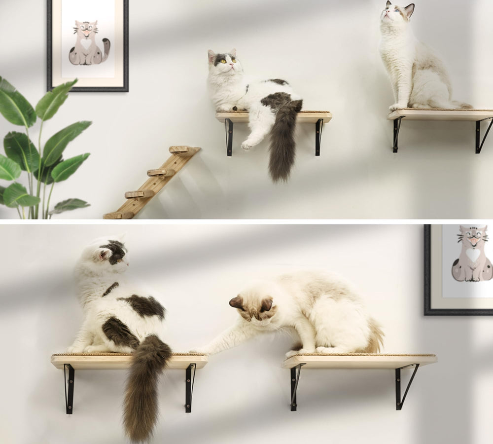 PEL UOMOZ space-saving wall shelves keeping floors clear