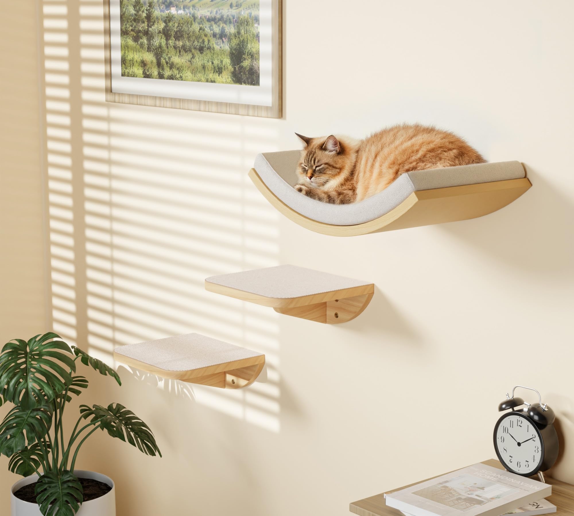 Peluomoz floating wall mount cat bed frees floor space for vertical play