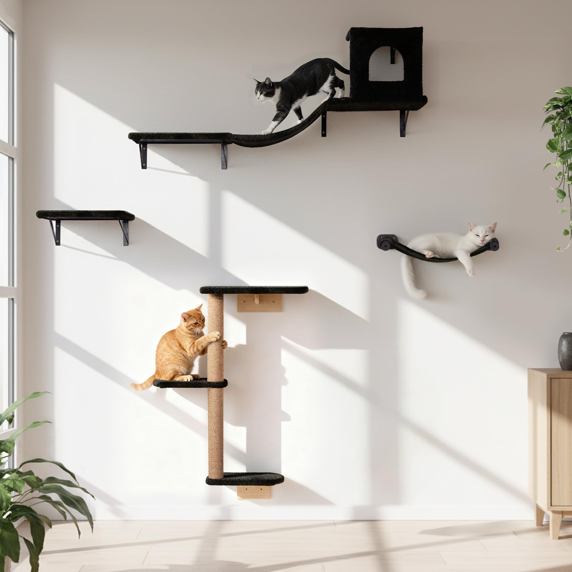 PEL UOMOZ hamaca mural para gatos, descanso cómodo y seguro