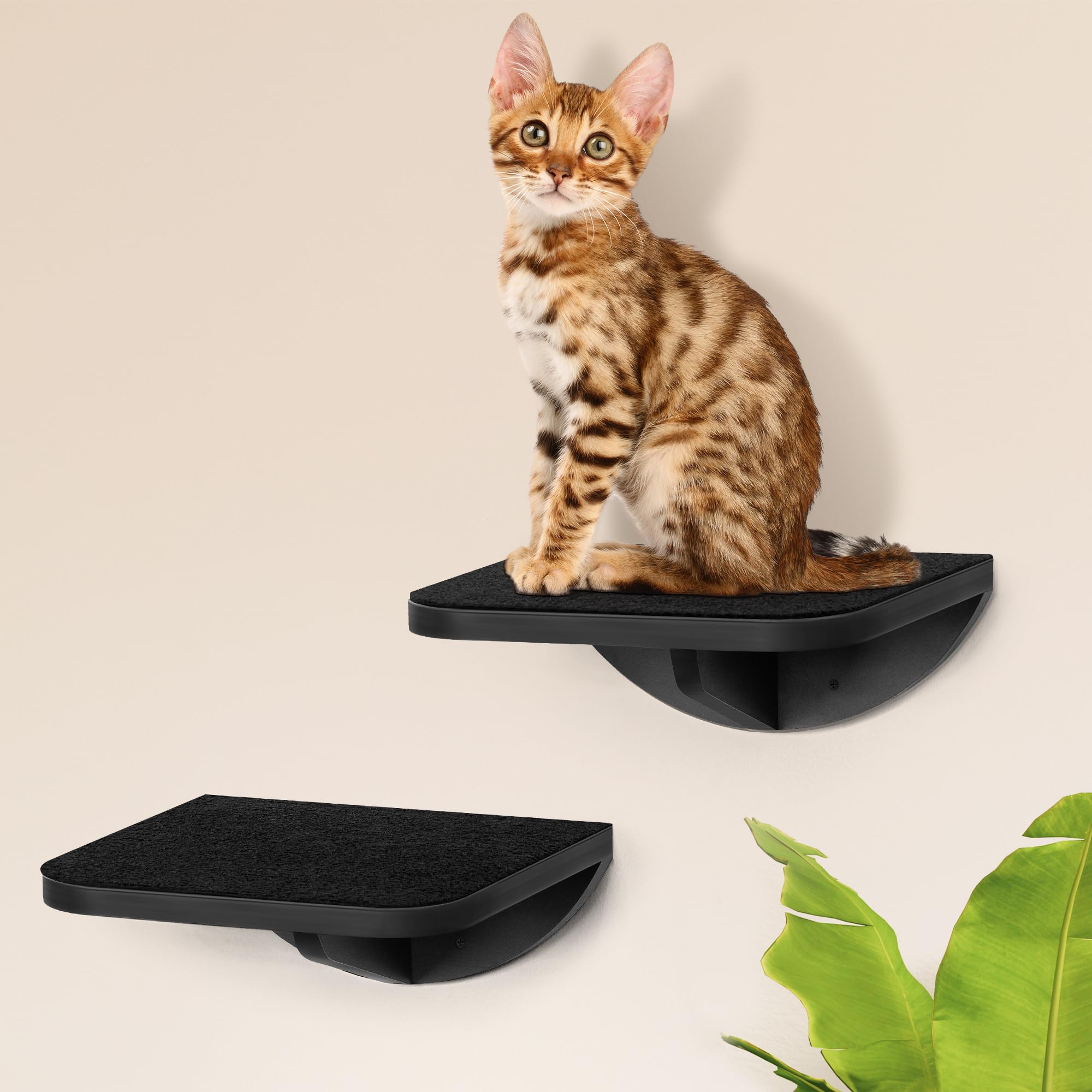 PELUOMOZ handcrafted cat gift idea blends style and function.