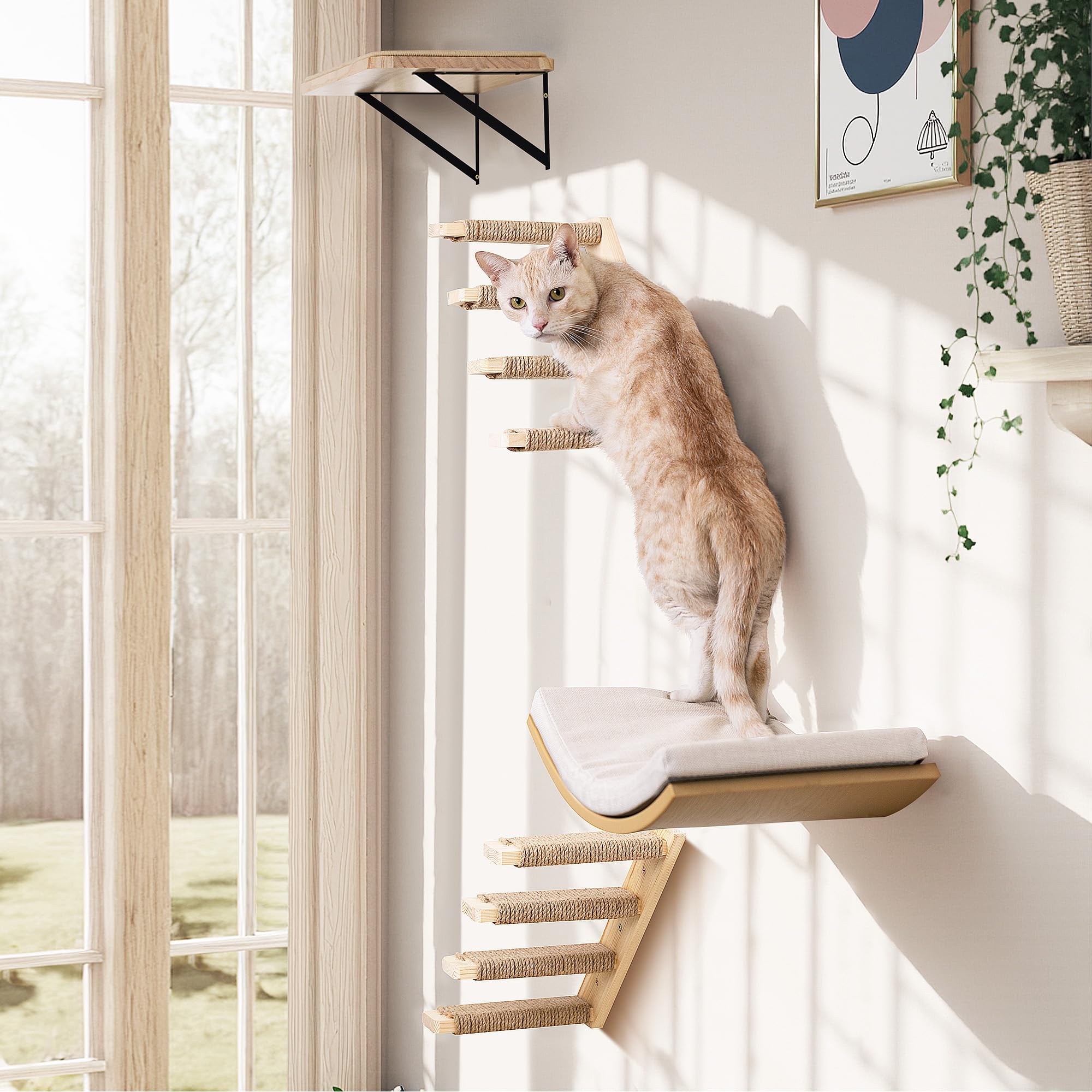 PELUMOZ-space-saving-cat-furniture shows compact design that fits small spaces.