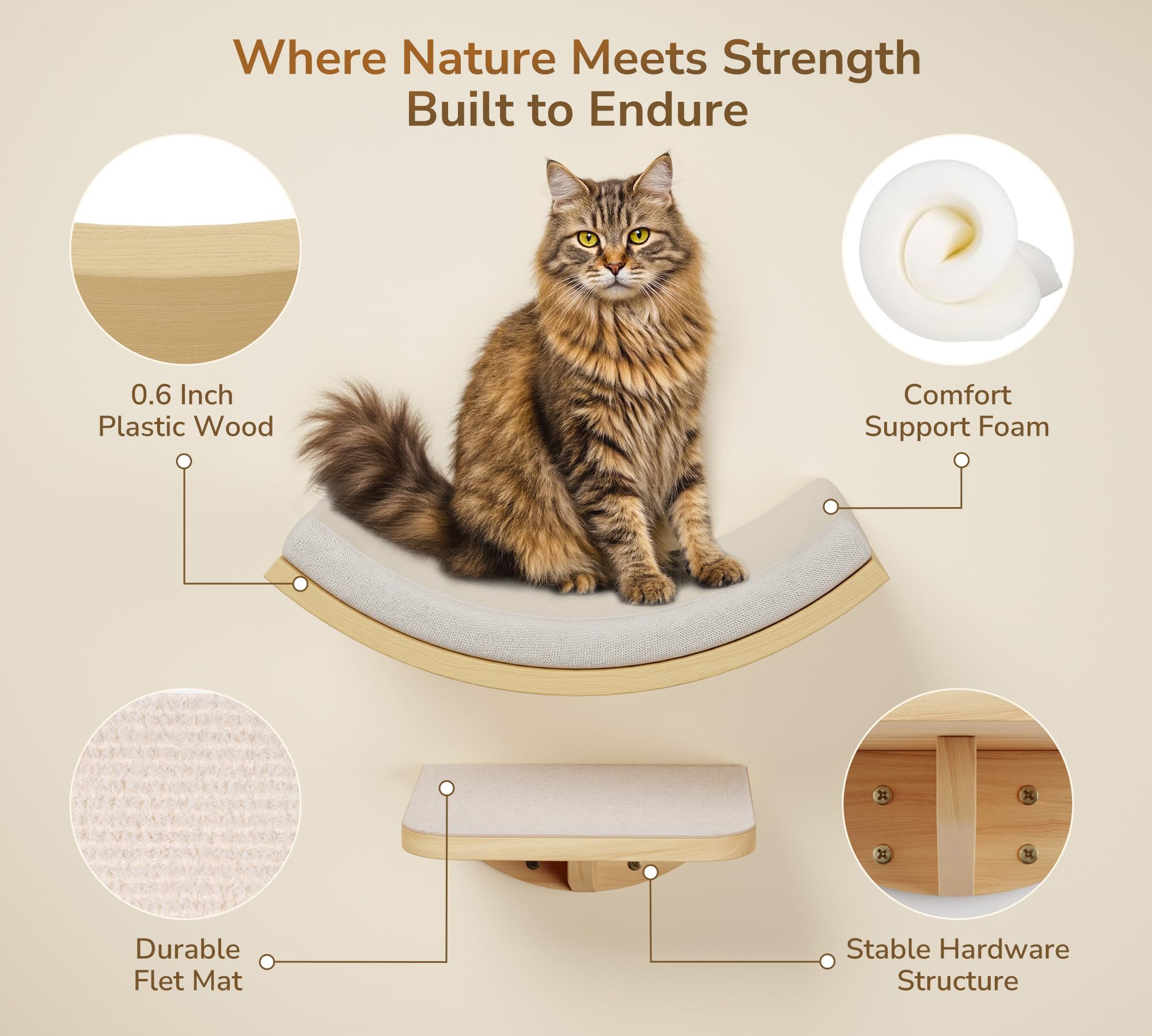 Peluomoz space-saving wall installation creates a vertical cat zone