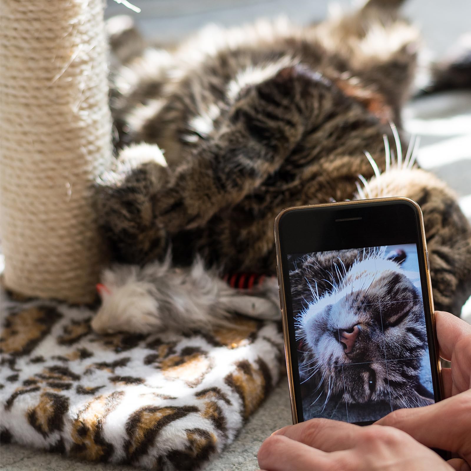 Pelzin Natural Sisal Rope is eco-friendly and biodegradable, reducing waste in cat furniture projects.