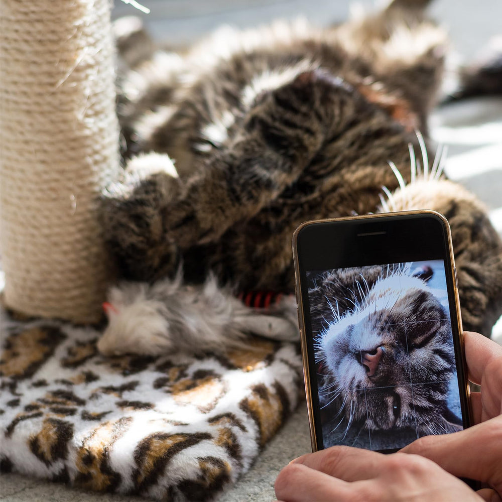 Pelzin Natural Sisal Rope is eco-friendly and biodegradable, reducing waste in cat furniture projects.