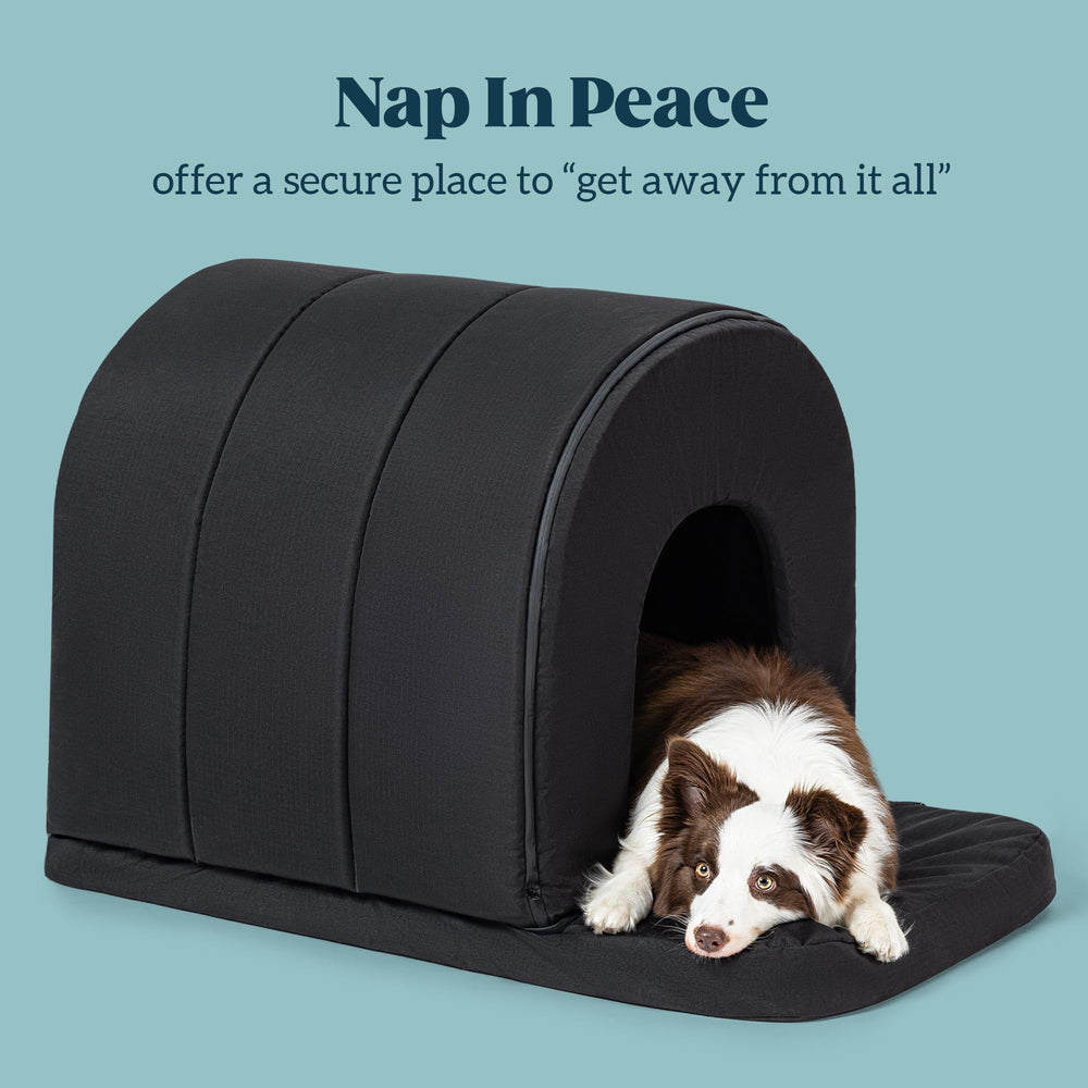 PELZIN orthopedic dog house waterproof fabric outdoor-ready shelter resists rain
