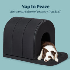 PELZIN orthopedic dog house waterproof fabric outdoor-ready shelter resists rain