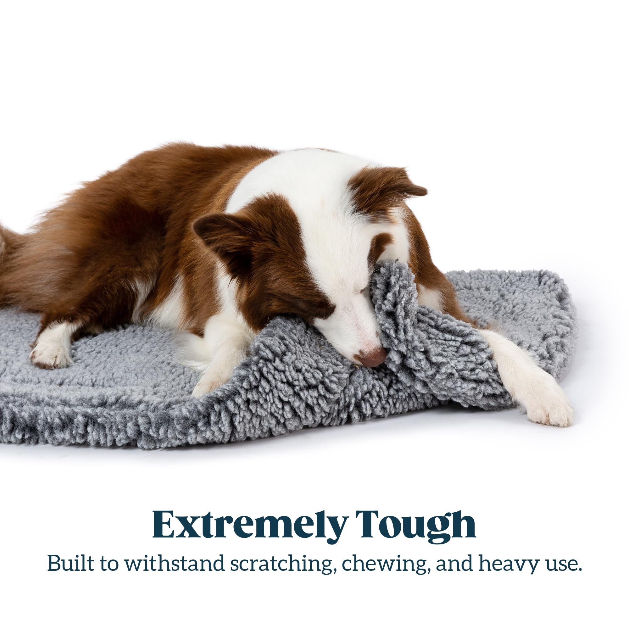 PELZIN Stoutwool indestructible dog bed closeup fabric highlights densely woven material