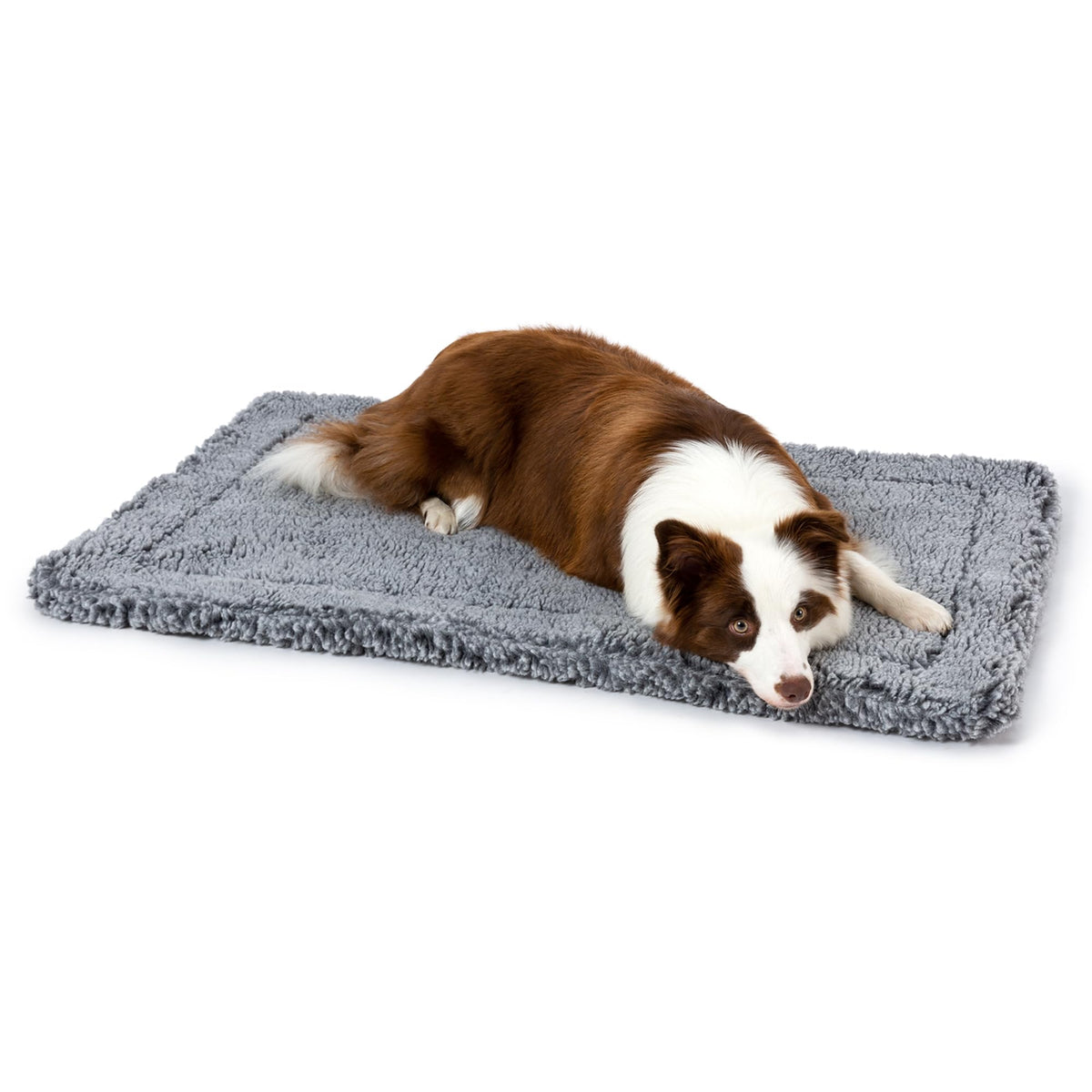 PELZIN Stoutwool indestructible dog bed front view showing chew-proof fabric and durability