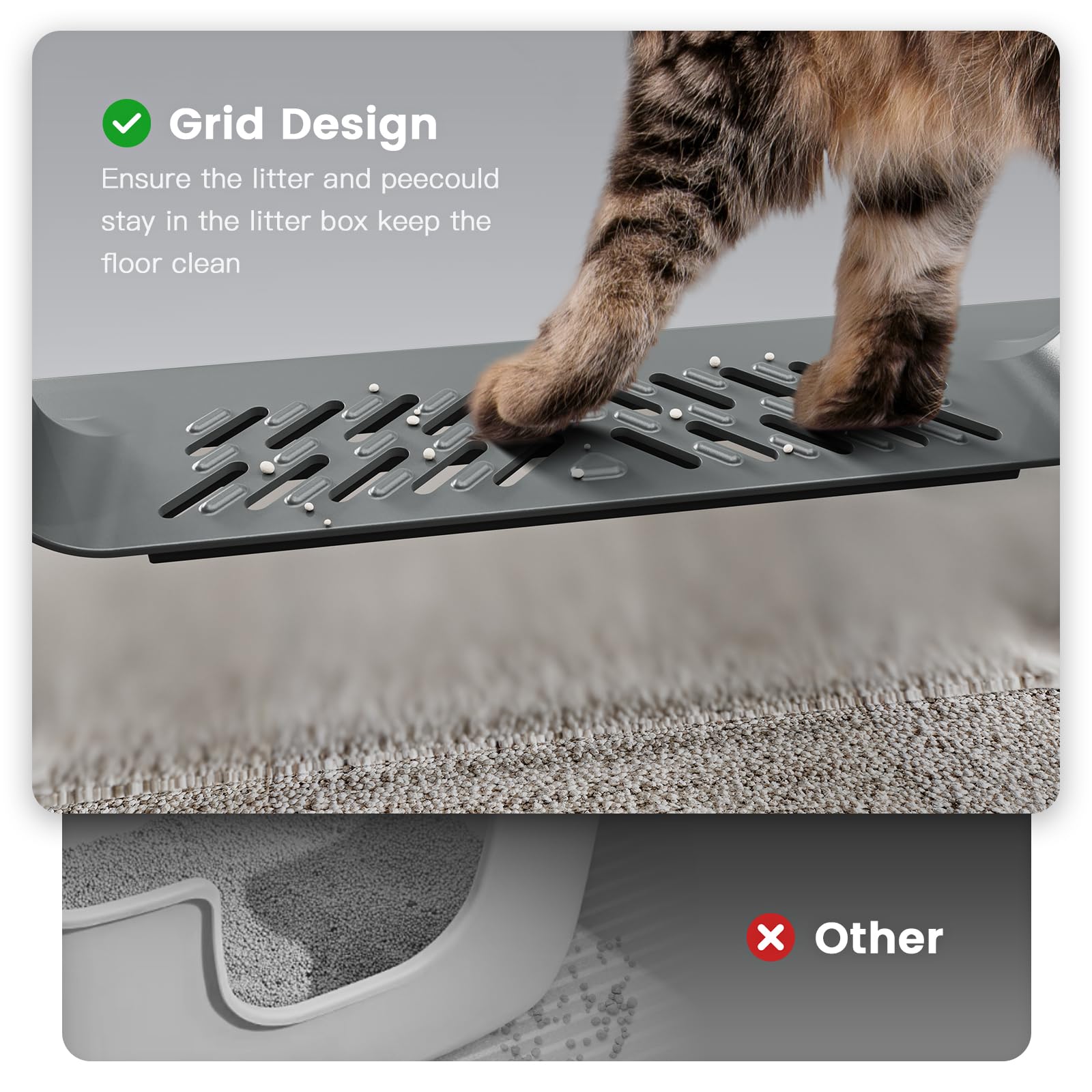 Pematar XXL litter box highlights odor resistance and clean interior.