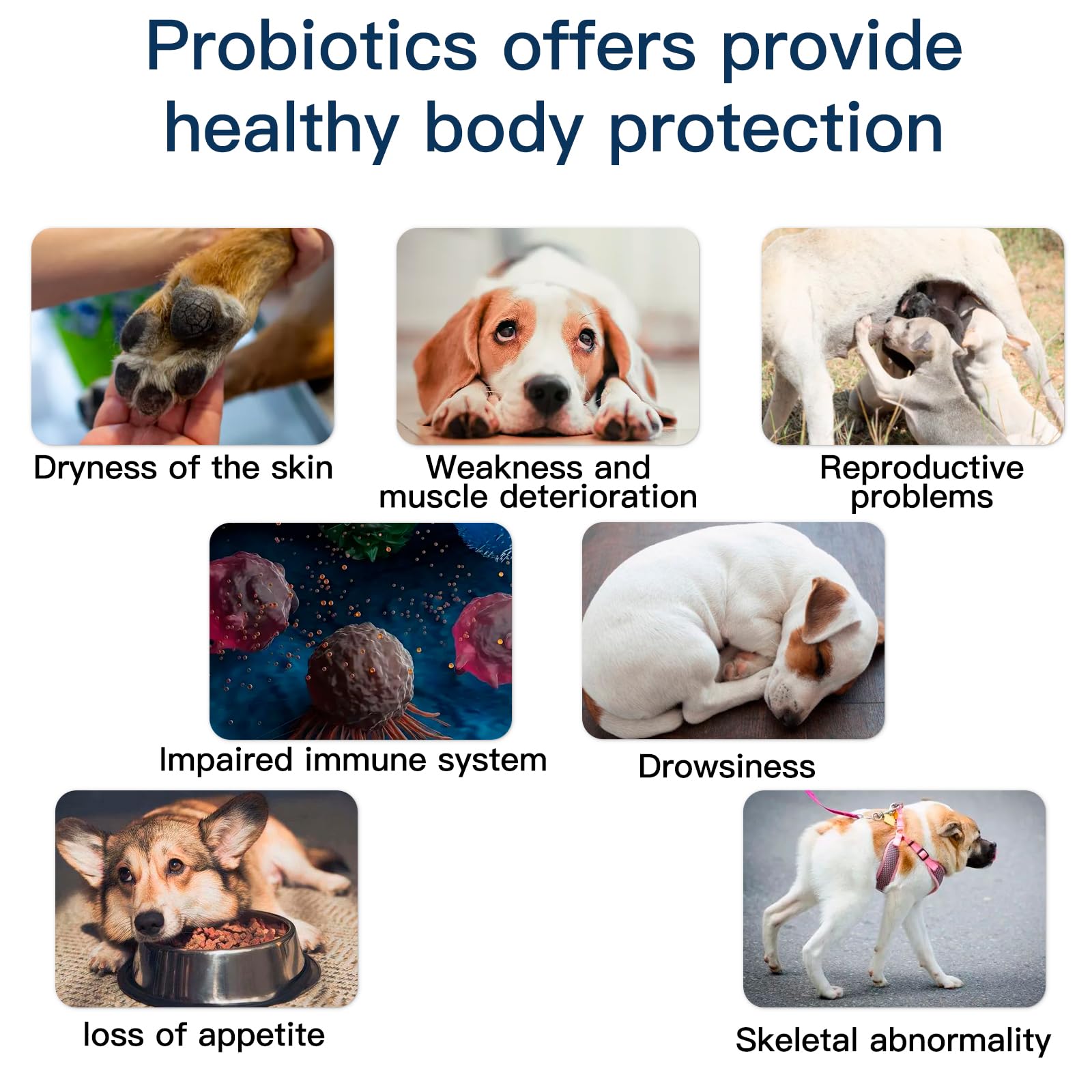 Penkyer probiotics dogs omega3 flaxseed oil nourishes skin and coat.