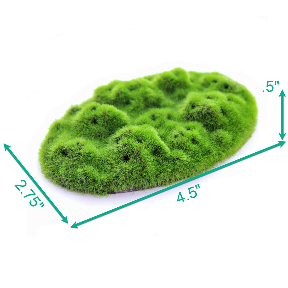 Penn-Plax Aqua-Flora Glosso seeds embedded support easy growth in freshwater.