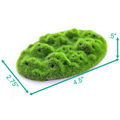 Penn-Plax Aqua-Flora Glosso seeds embedded support easy growth in freshwater.