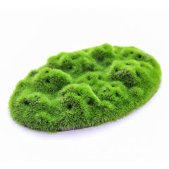 Penn-Plax Aqua-Flora Moss Patch in-tank ready-to-grow aquatic bed.