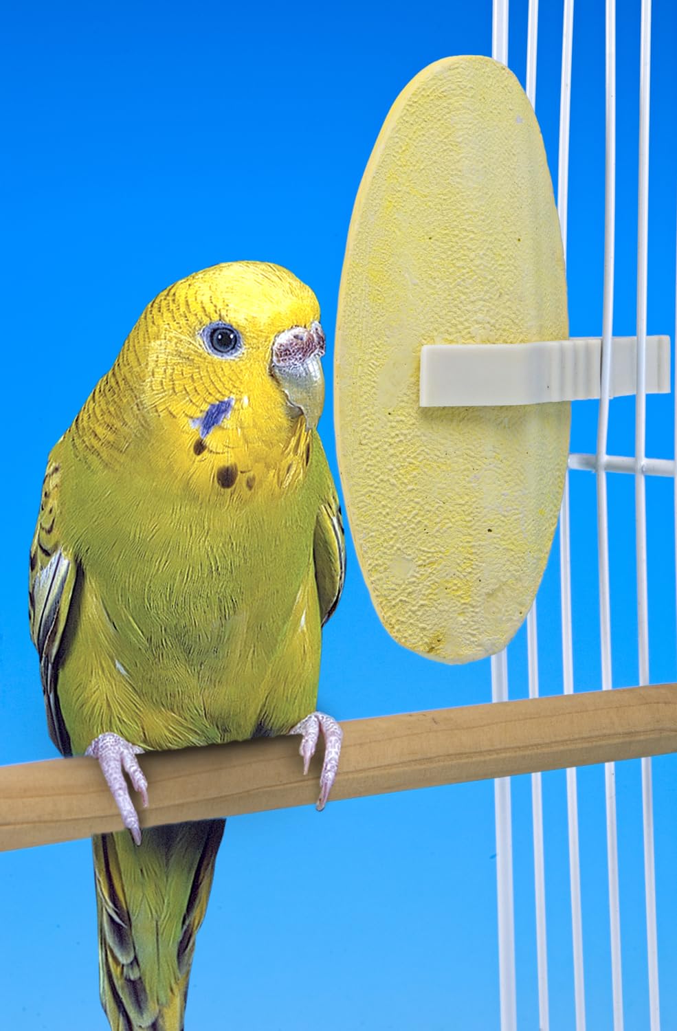 Penn-Plax Bird-Life E Cuttlebone mango banana supports energy and beak health for daily activity.