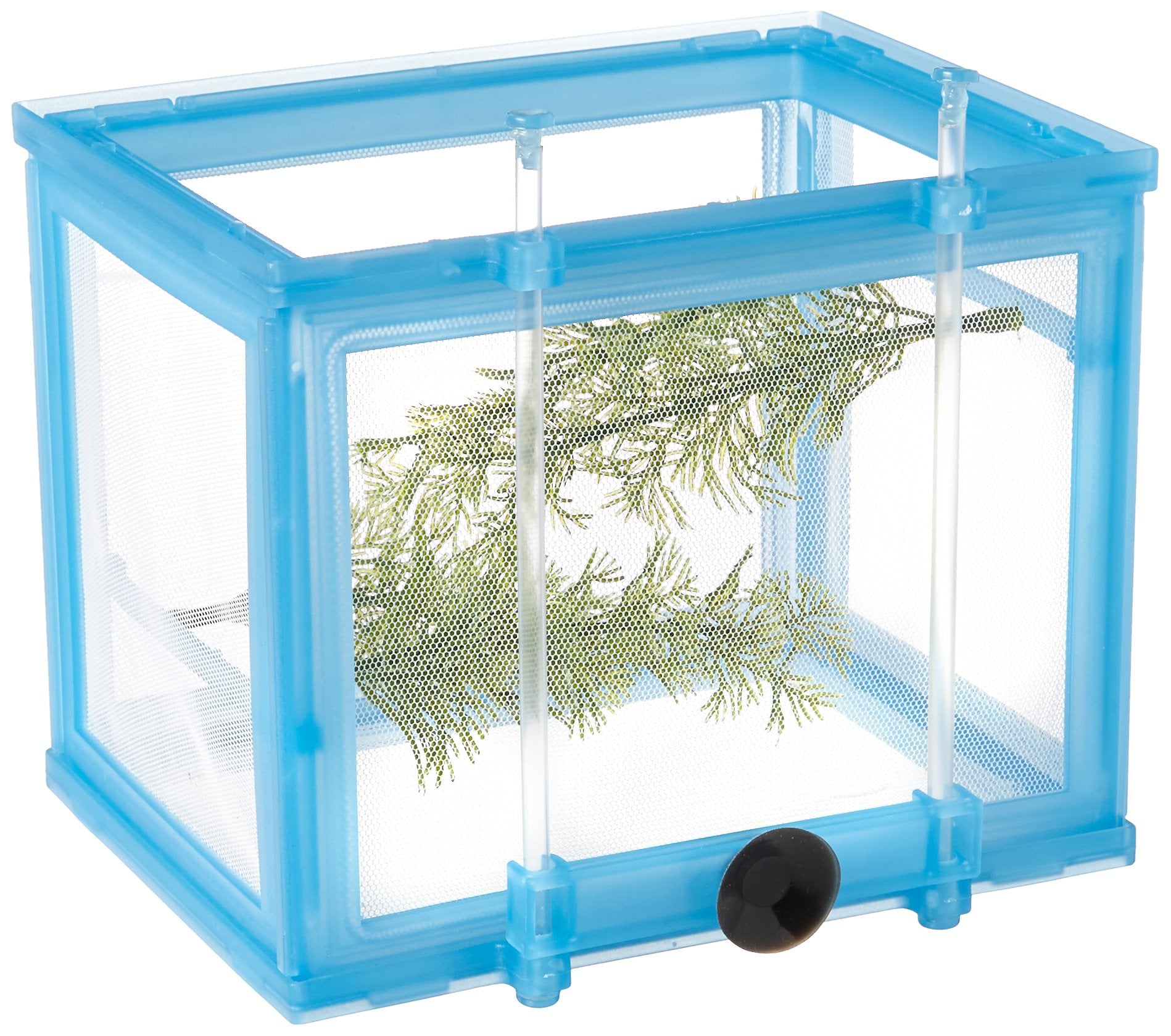 Penn-Plax NB2 Net Breeder Deluxe floating suction back keeps fry-net at water level for easy monitoring