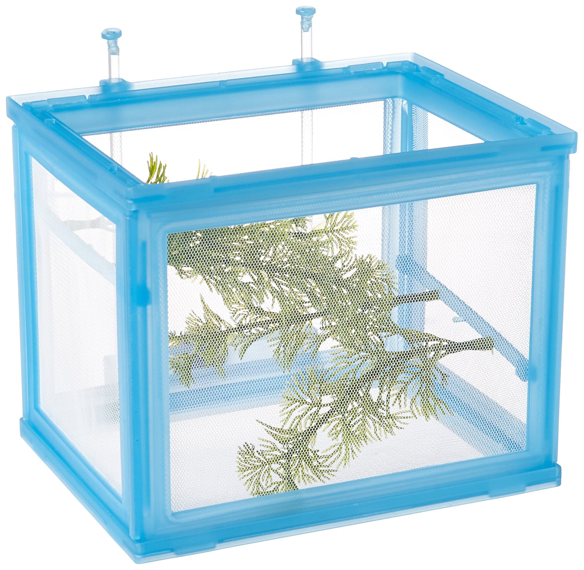 Penn-Plax NB2 Net Breeder Deluxe front view protects fry in a community tank