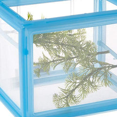 Penn-Plax NB2 Net Breeder Deluxe installed inside tank for safe fry separation