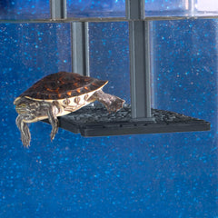 Penn-Plax Reptology Turtle Topper docking ramp enables easy climbs.